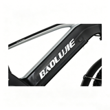 BAOLUJIE P4 DP 2011 24" Mountain E-Bike 2000W Motor 48V 20Ah Battery