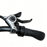 BAOLUJIE BLJ D7 20" Folding E-Bike 500W Motor 48V 12Ah Battery