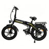 BAOLUJIE BLJ D7 20" Folding E-Bike 500W Motor 48V 12Ah Battery