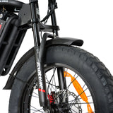 BAOLUJIE DM2001 20" Off-Road E-Bike 2000W Motor 60V 30Ah Battery