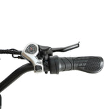 BAOLUJIE DM2001 20" Off-Road E-Bike 2000W Motor 60V 30Ah Battery