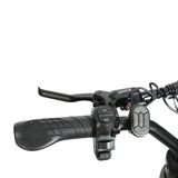 BAOLUJIE DM2001 20" Off-Road E-Bike 2000W Motor 60V 30Ah Battery