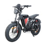 BAOLUJIE DM2001 20" Off-Road E-Bike 2000W Motor 60V 30Ah Battery
