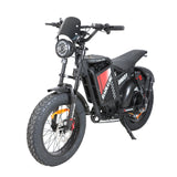 BAOLUJIE DM2001 20" Off-Road E-Bike 2000W Motor 60V 30Ah Battery