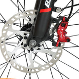 BAOLUJIE DM2001 20" Off-Road E-Bike 2000W Motor 60V 30Ah Battery