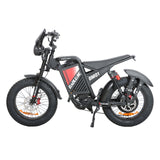 BAOLUJIE DM2001 20" Off-Road E-Bike 2000W Motor 60V 30Ah Battery