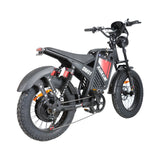 BAOLUJIE DM2001 20" Off-Road E-Bike 2000W Motor 60V 30Ah Battery