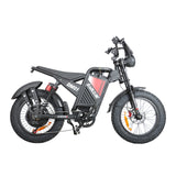 BAOLUJIE DM2001 20" Off-Road E-Bike 2000W Motor 60V 30Ah Battery