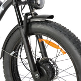 BAOLUJIE DP-2602 26" Fat-Tire E-Bike 2000W Motor 48V 23Ah Battery