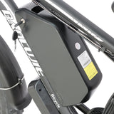 BAOLUJIE DP-2602 26" Fat-Tire E-Bike 2000W Motor 48V 23Ah Battery