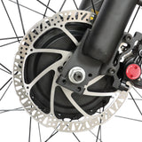 BAOLUJIE DP-2602 26" Fat-Tire E-Bike 2000W Motor 48V 23Ah Battery