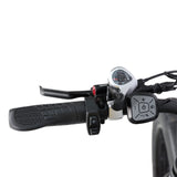 BAOLUJIE DP-2602 26" Fat-Tire E-Bike 2000W Motor 48V 23Ah Battery