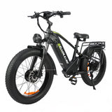 BAOLUJIE P6 2401 24" Mountain E-Bike 2000W Motor 48V 20Ah Battery