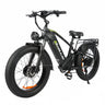 BAOLUJIE P6 2401 24" Mountain E-Bike 2000W Motor 48V 20Ah Battery