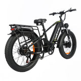 BAOLUJIE P6 2401 24" Mountain E-Bike 2000W Motor 48V 20Ah Battery