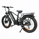 BAOLUJIE P6 2401 24" Mountain E-Bike 2000W Motor 48V 20Ah Battery