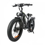 BAOLUJIE P6 2401 24" Mountain E-Bike 2000W Motor 48V 20Ah Battery
