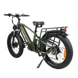 BAOLUJIE P6 2401 24" Mountain E-Bike 2000W Motor 48V 20Ah Battery