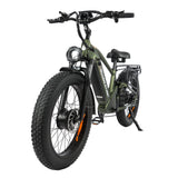 BAOLUJIE P6 2401 24" Mountain E-Bike 2000W Motor 48V 20Ah Battery