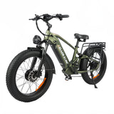 BAOLUJIE P6 2401 24" Mountain E-Bike 2000W Motor 48V 20Ah Battery