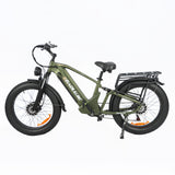 BAOLUJIE P6 2401 24" Mountain E-Bike 2000W Motor 48V 20Ah Battery