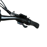 BAOLUJIE BLJ S9 29" Mountain E-Bike 750W Motor 48V 14Ah Battery
