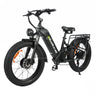 BAOLUJIE P7 2401 24" Step-Thru E-Bike 2000W Motor 48V 20Ah Battery