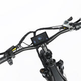 BAOLUJIE P7 2401 24" Step-Thru E-Bike 2000W Motor 48V 20Ah Battery