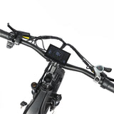 BAOLUJIE P7 2401 24" Step-Thru E-Bike 2000W Motor 48V 20Ah Battery