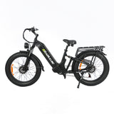 BAOLUJIE P7 2401 24" Step-Thru E-Bike 2000W Motor 48V 20Ah Battery