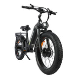 BAOLUJIE P7 2401 24" Step-Thru E-Bike 2000W Motor 48V 20Ah Battery