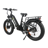 BAOLUJIE P7 2401 24" Step-Thru E-Bike 2000W Motor 48V 20Ah Battery