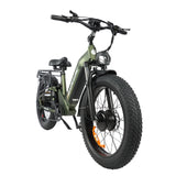 BAOLUJIE P7 2401 24" Step-Thru E-Bike 2000W Motor 48V 20Ah Battery