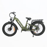 BAOLUJIE P7 2401 24" Step-Thru E-Bike 2000W Motor 48V 20Ah Battery