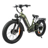 BAOLUJIE P7 2401 24" Step-Thru E-Bike 2000W Motor 48V 20Ah Battery