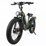 BAOLUJIE P7 2401 24" Step-Thru E-Bike 2000W Motor 48V 20Ah Battery