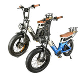 BAOLUJIE PLJ2033 Step-Thru Electric Cargo Bike Combo