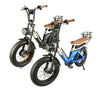 BAOLUJIE PLJ2033 Step-Thru Electric Cargo Bike Combo