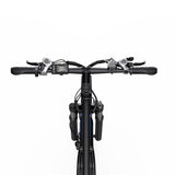DUOTTS C29-L 29" Mountain Electric Bike 750W Motor 48V 15Ah Battery（UK）