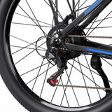 DUOTTS C29-L 29" Mountain Electric Bike 750W Motor 48V 15Ah Battery（UK）