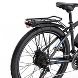 DUOTTS C29-L 29" Mountain Electric Bike 750W Motor 48V 15Ah Battery（UK）