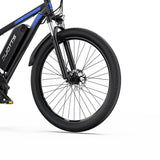 DUOTTS C29-L 29" Mountain Electric Bike 750W Motor 48V 15Ah Battery（UK）