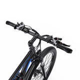 DUOTTS C29-L 29" Mountain Electric Bike 750W Motor 48V 15Ah Battery（UK）