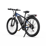 DUOTTS C29-L 29" Mountain Electric Bike 750W Motor 48V 15Ah Battery（UK）