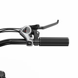 DUOTTS C29 Lite 27.5" Urban Commuting Electric Bike 250W Motor 36V 13Ah Battery