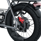 COSWHEEL CT20 20" Electric Dirt Motorbike 1000W Motor 48V 25Ah Battery