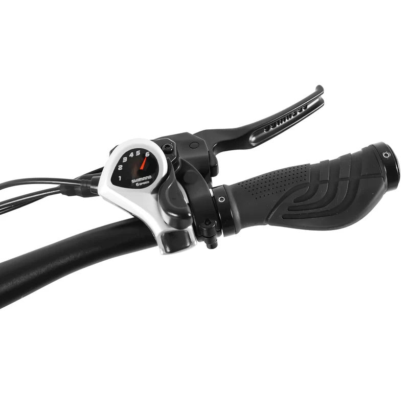 COSWHEEL HQ20 20" Cargo Electric Bike 1300W Peak Motor 48V 19.2Ah Battery