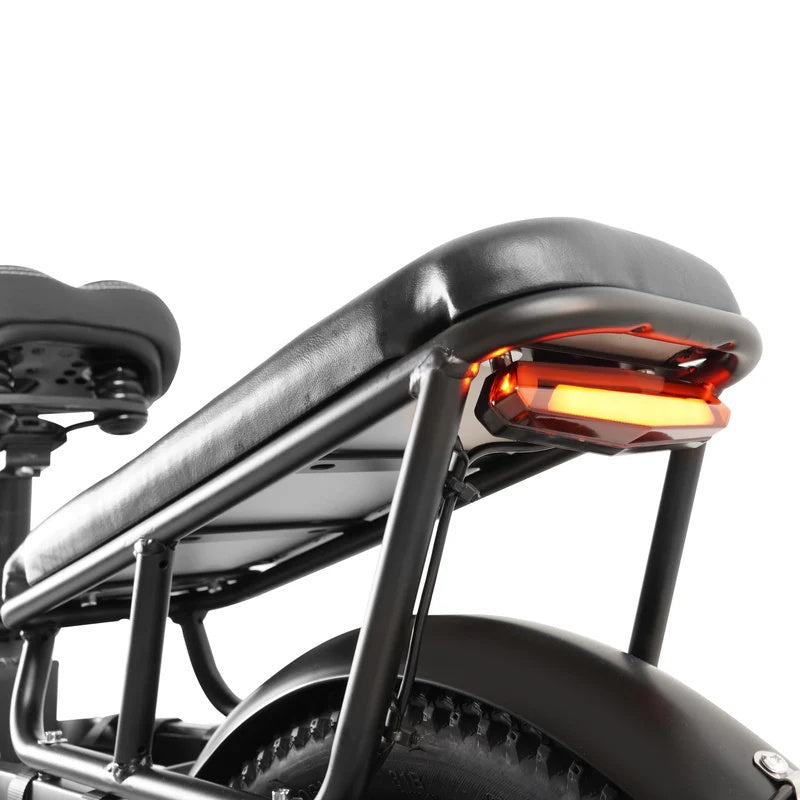 COSWHEEL HQ20 20" Cargo Electric Bike 1300W Peak Motor 48V 19.2Ah Battery