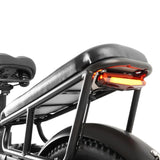 COSWHEEL HQ20 20" Cargo Electric Bike 1300W Peak Motor 48V 19.2Ah Battery