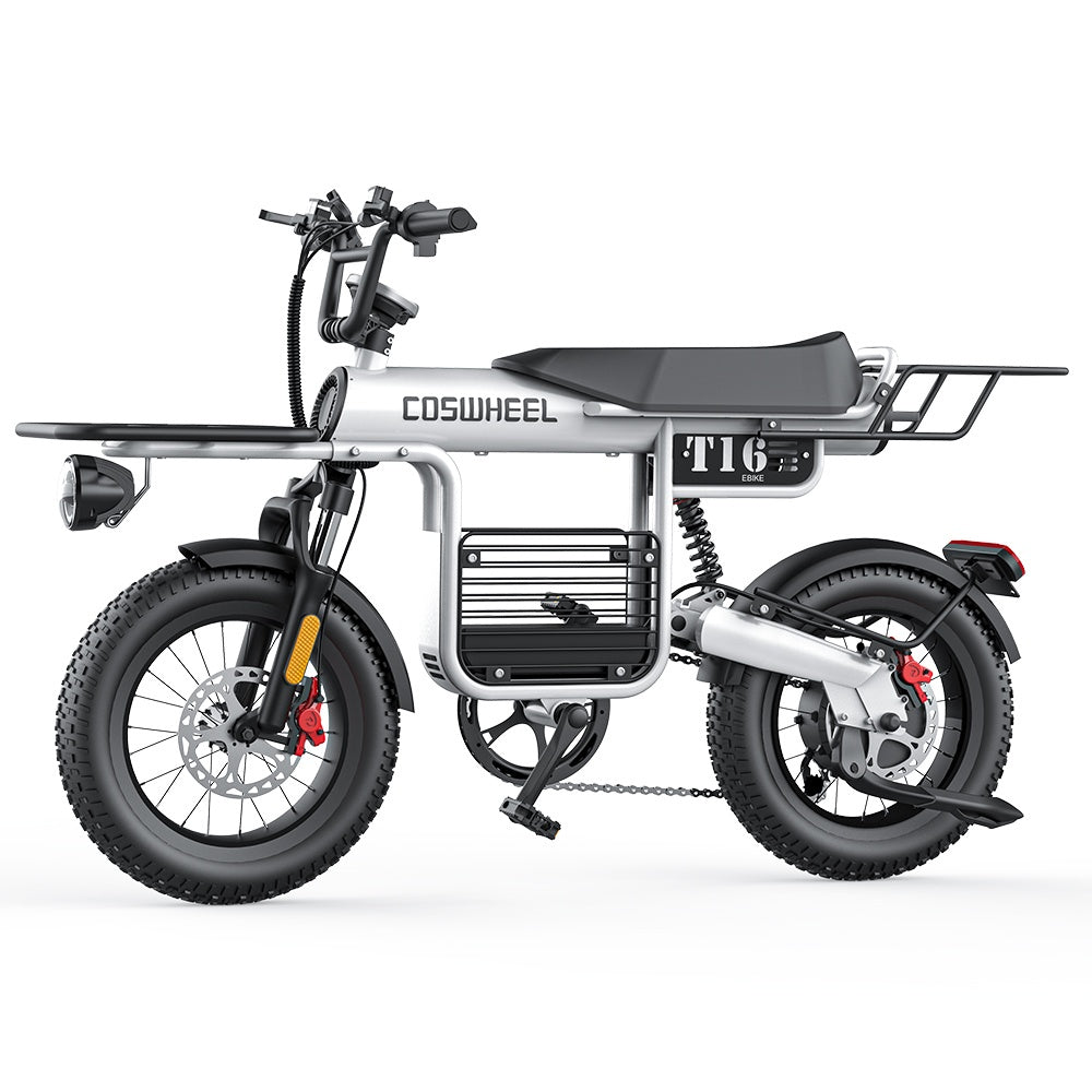 COSWHEEL T16 16" Cargo Electric Bike 500W Motor 48V 20Ah Battery